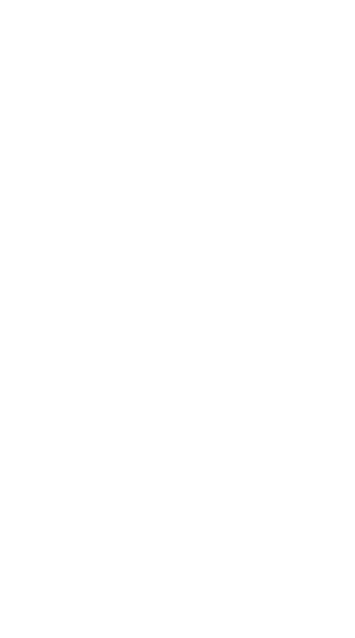 Bloomery Store